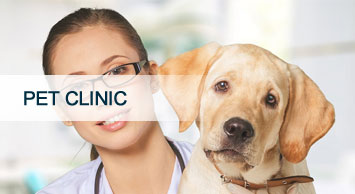 pet clinic in marthandam