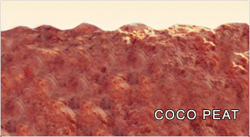 coco peat in nagercoil