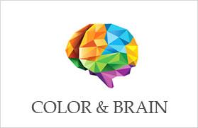 color and brain