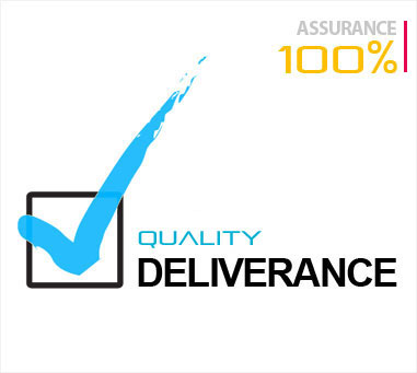 100% assurance quality deleverance of projects